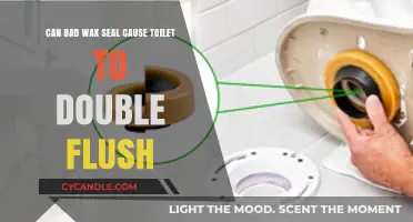 The Surprising Link Between Bad Wax Seals and Double Flushing Toilets