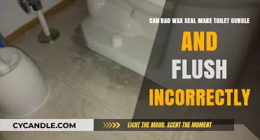 Wax Seal Woes: Gurgling Toilets and Flushing Troubles Explained
