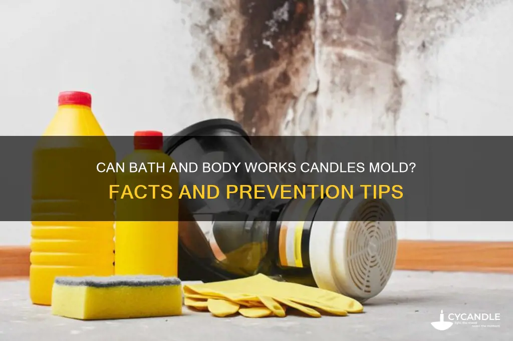 can bath and body works candles mold