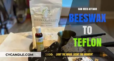 Beeswax and Teflon: Can Bees Attach Their Wax to Non-Stick Surfaces?