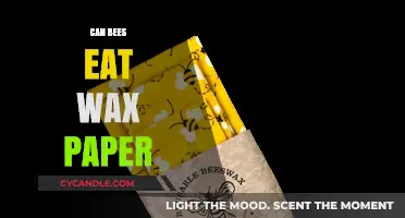 Can Bees Safely Consume Wax Paper? Exploring the Facts