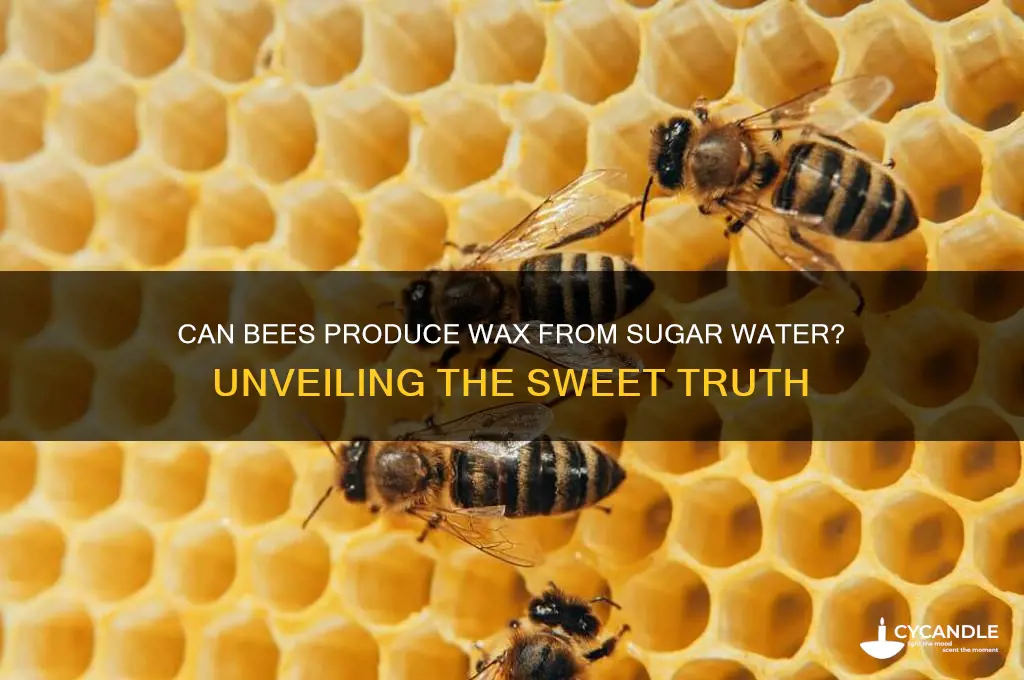 can bees make wax from sugar water