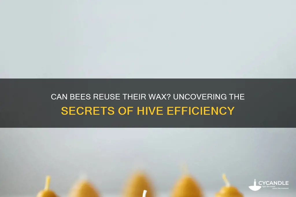 can bees reuse their wax