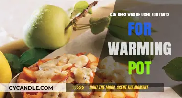 Using Beeswax for Warming Pot Tarts: Creative Aromatic Ideas