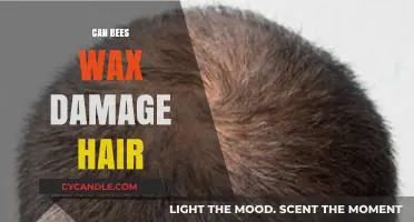 Can Beeswax Harm Your Hair? Facts and Myths Revealed