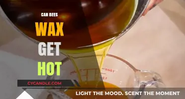 Can Beeswax Melt? Exploring Its Heat Resistance and Uses