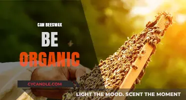 Is Beeswax Truly Organic? Unveiling the Natural Production Process