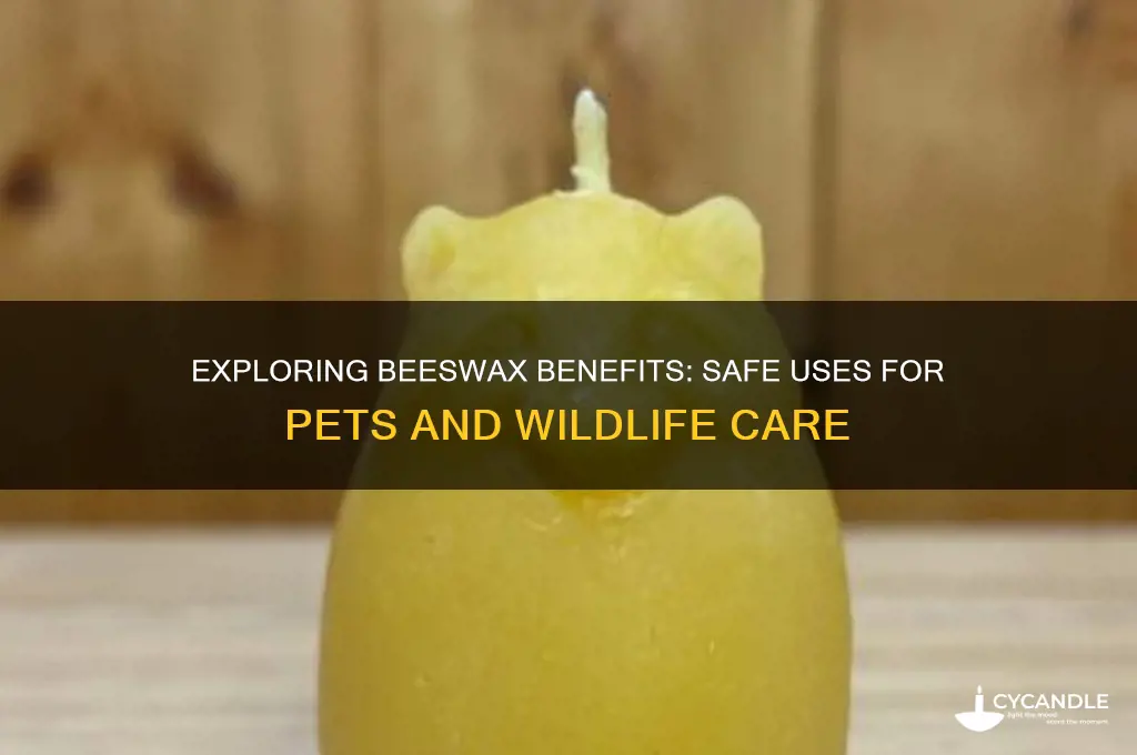 can beeswax be used for other animals