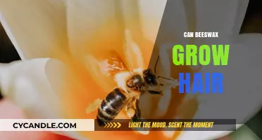Can Beeswax Stimulate Hair Growth? Unveiling the Natural Remedy