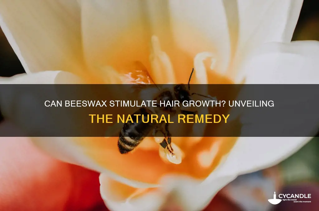 can beeswax grow hair