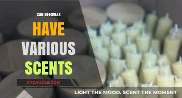Exploring the Aromatic Diversity of Beeswax: Scents and Sources
