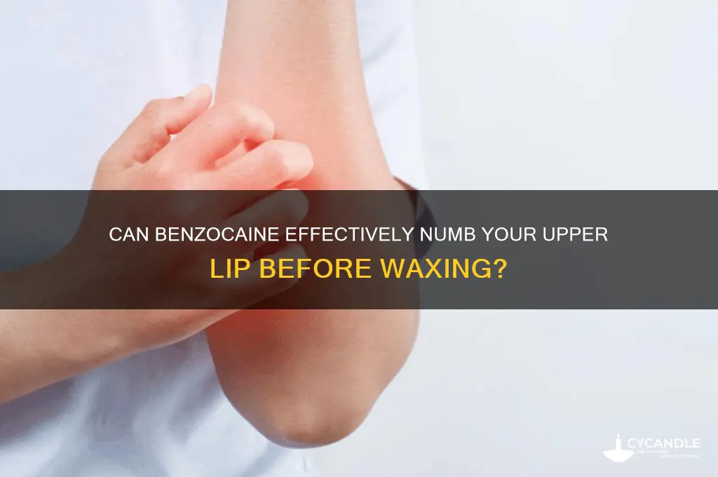 can benzocaine numb upper lip wax
