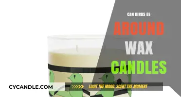Are Wax Candles Safe for Birds? A Pet Owner's Guide