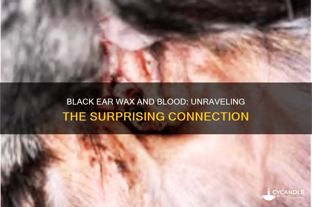 can black ear wax come from blood