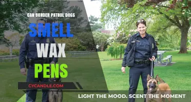 Sniffing Out the Truth: Can Border Patrol Dogs Detect Wax Pens?