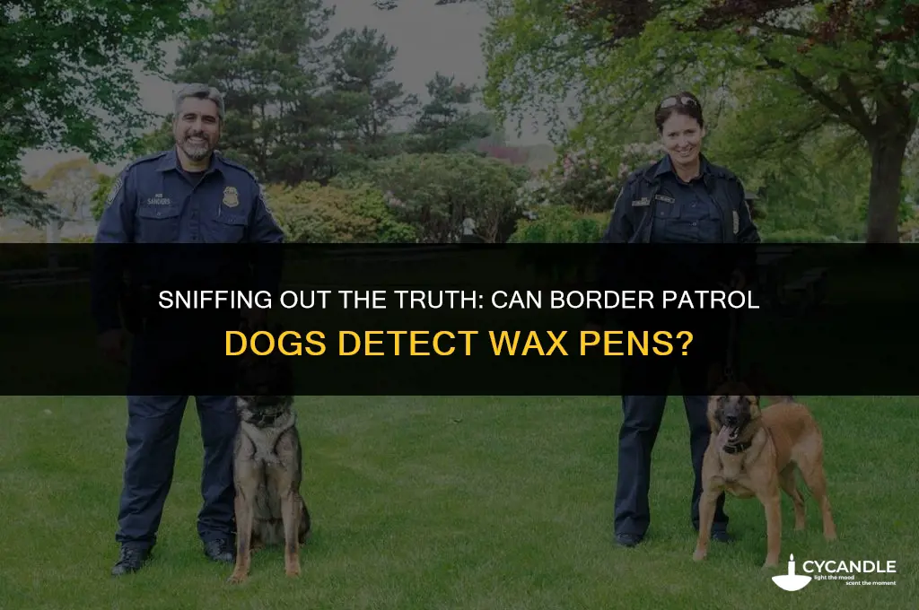 can border patrol dogs smell wax pens