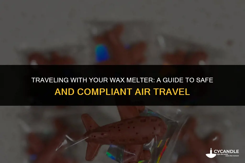 can bring my wax melter on an airplane