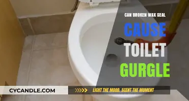 Unveiling the Mystery: Can a Broken Wax Seal Cause Toilet Gurgle?