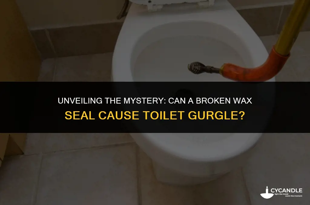 can broken wax seal cause toilet gurgle