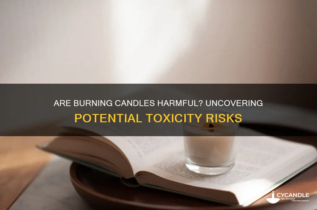 can burning candles be toxic
