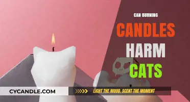 Are Candles Safe for Cats? Potential Risks and Harms Explained