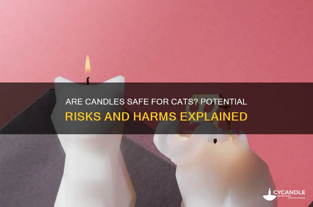 can burning candles harm cats