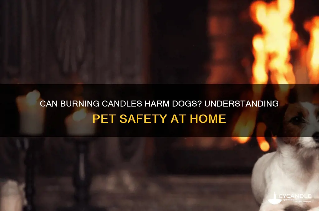 can burning candles make dogs sick