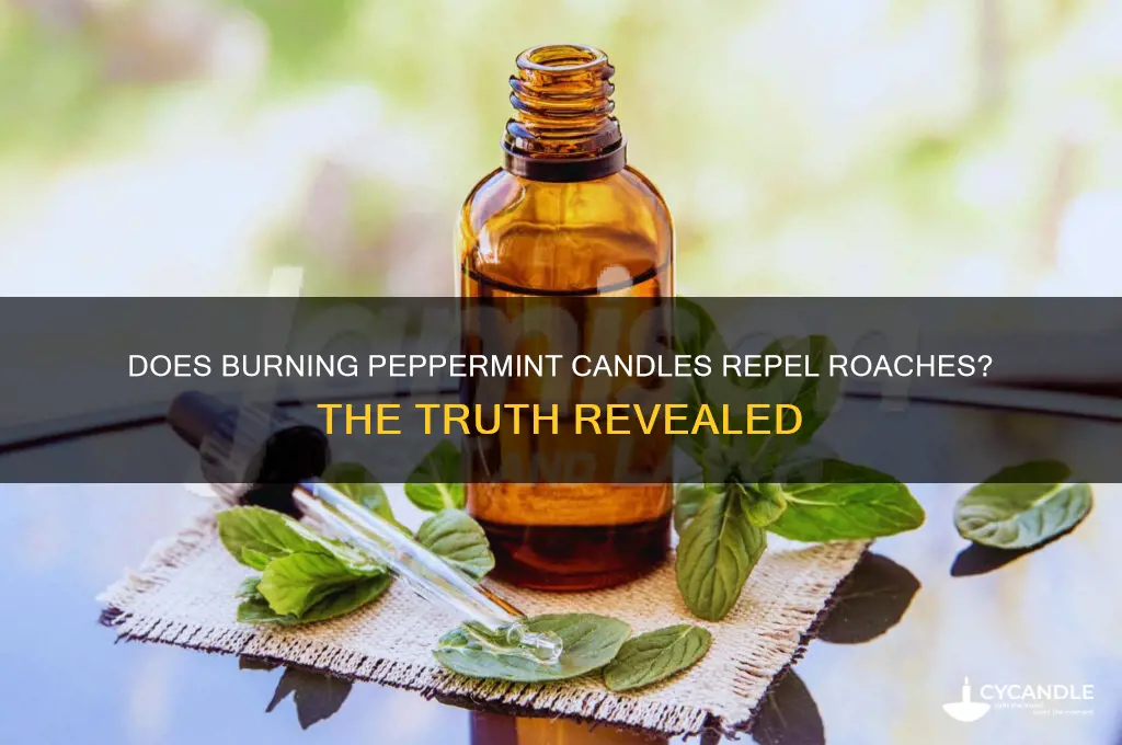 can burning peppermint candle keep roaches away
