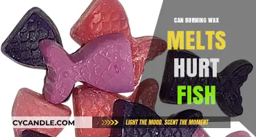 Can Burning Wax Melts Harm Your Aquarium Fish? Find Out