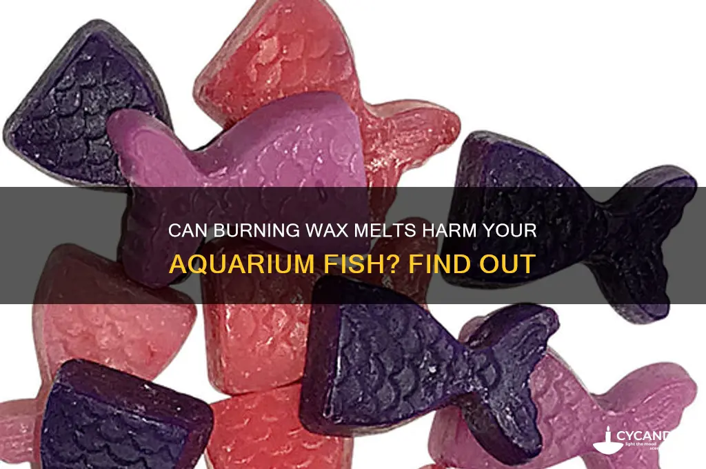 can burning wax melts hurt fish