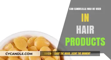 Candelilla Wax in Hair Care: Benefits, Uses, and Safety Tips
