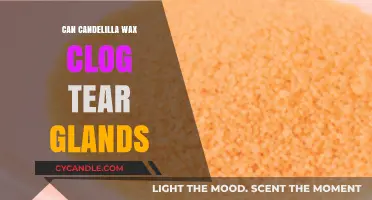 Candelilla Wax and Tear Glands: Potential Clogging Risks Explained