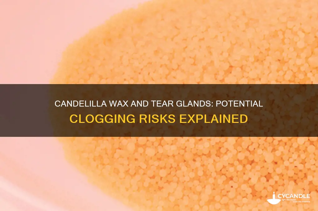 can candelilla wax clog tear glands