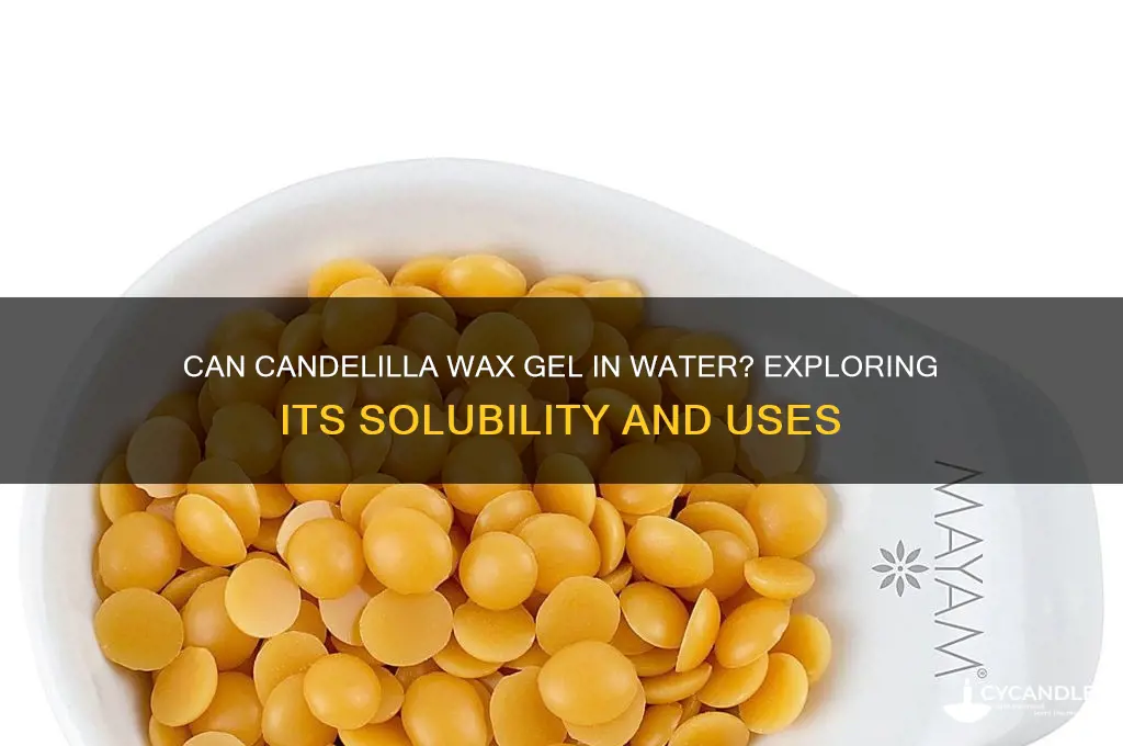 can candelilla wax gel in water