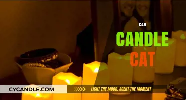 Can Cats Safely Be Around Candles? Tips for Pet Owners