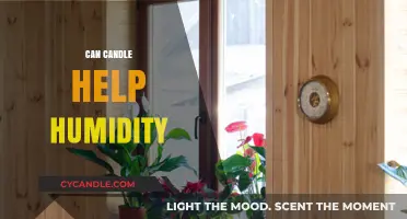 Candles and Humidity: Do They Help or Harm Indoor Air?