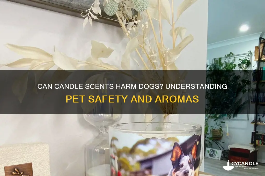 can candle scents make dogs sick