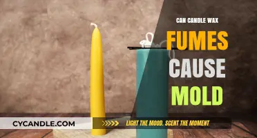 Can Candle Wax Fumes Promote Mold Growth in Your Home?