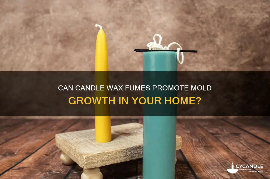 can candle wax fumes cause mold