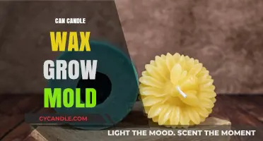 The Truth About Candle Wax and Mold Growth: A Comprehensive Guide