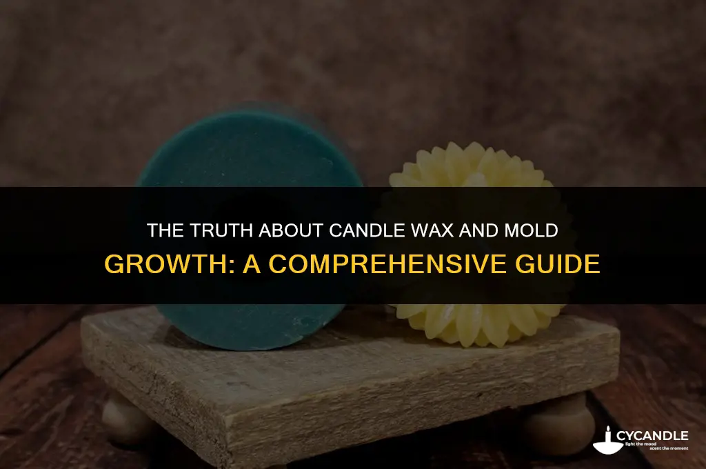 can candle wax grow mold