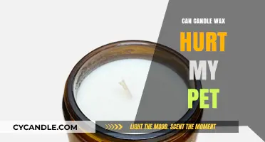 Can Candle Wax Harm Pets? Risks and Safety Tips for Owners
