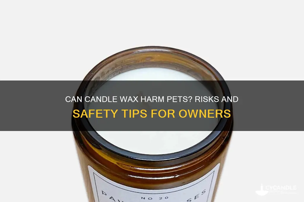 can candle wax hurt my pet