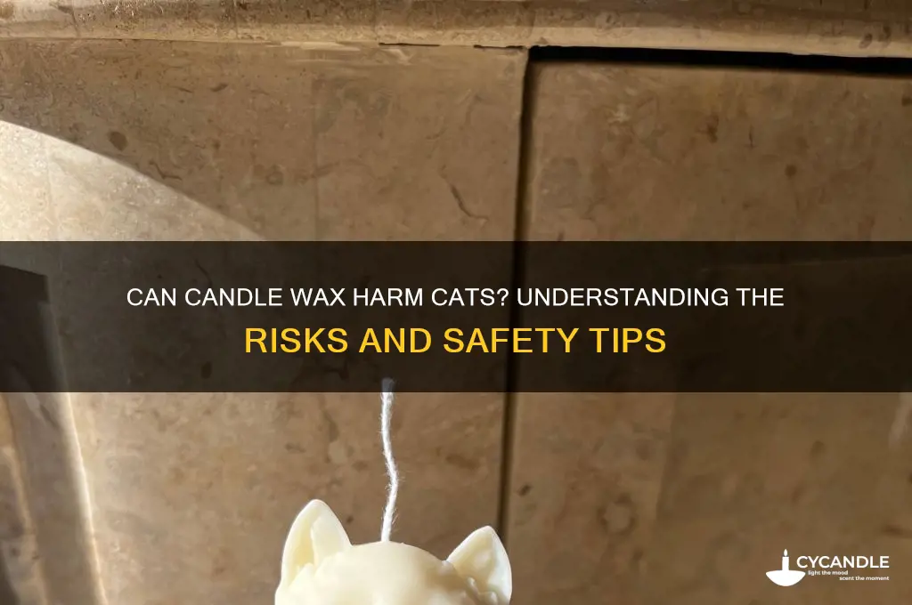 can candle wax kill a cat