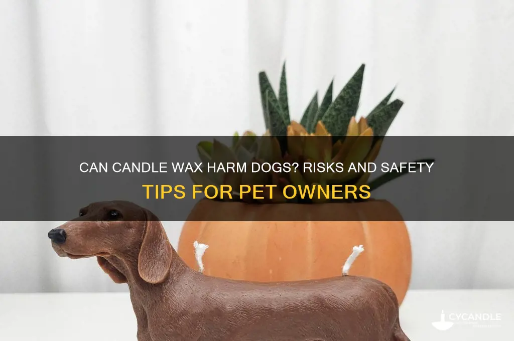 can candle wax kill a dog