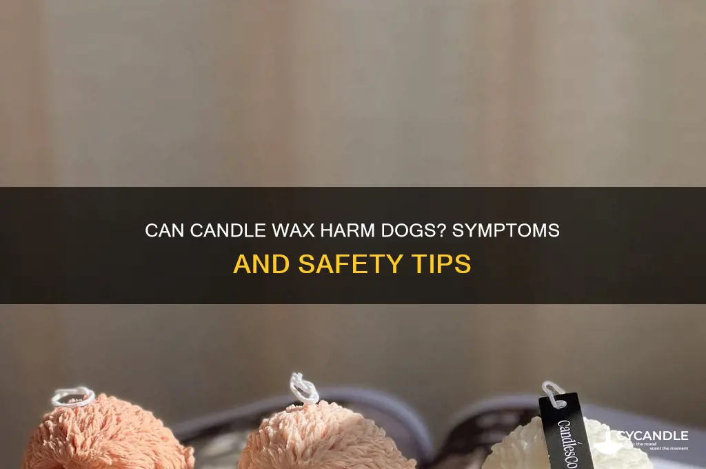 can candle wax make a dog sick