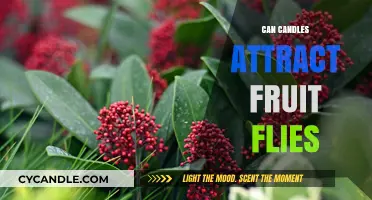 Do Candles Attract Fruit Flies? Uncovering the Surprising Connection