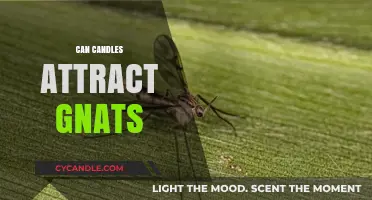 Do Candles Attract Gnats? Understanding the Surprising Connection