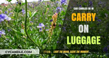 Can Candles Fly? Carry-On Luggage Rules Explained