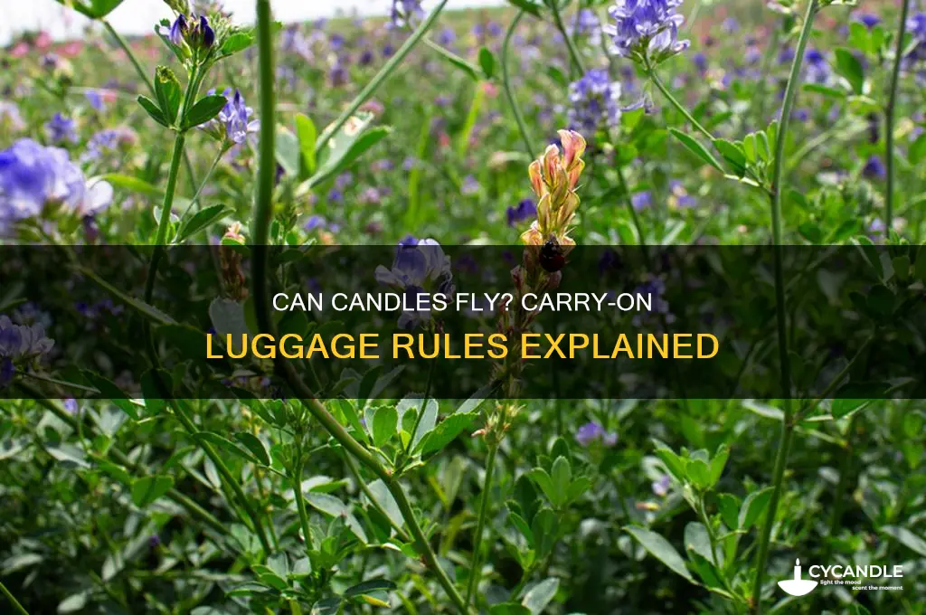 can candles be in carry on luggage
